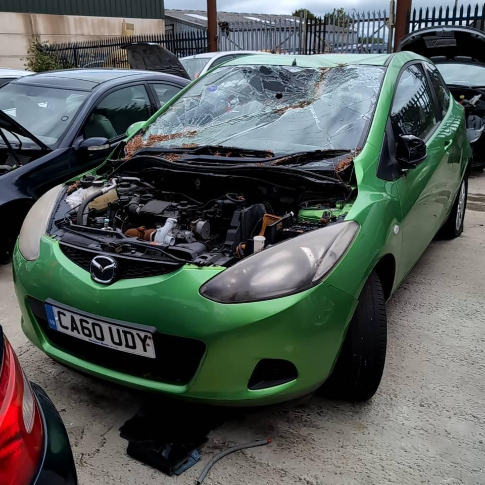 MAZDA 2 TS2 D